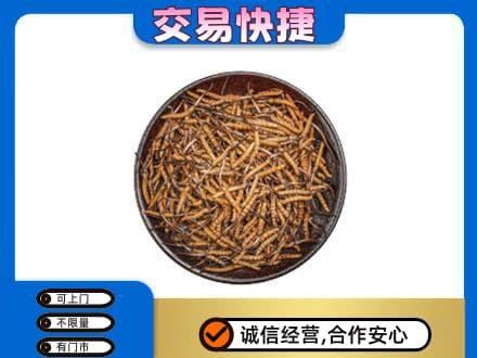 蒲城县回收散虫草
